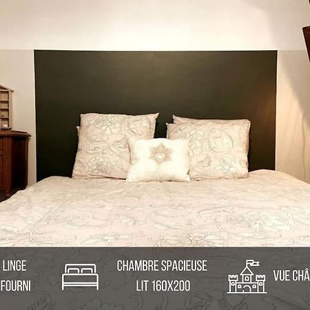Grand Appartement Place Saint-Pierre, Proche Chateau De Saumur Et Bord De Loire" Zewnętrze zdjęcie