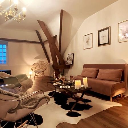 Grand Appartement Place Saint-Pierre, Proche Chateau De Saumur Et Bord De Loire" Zewnętrze zdjęcie