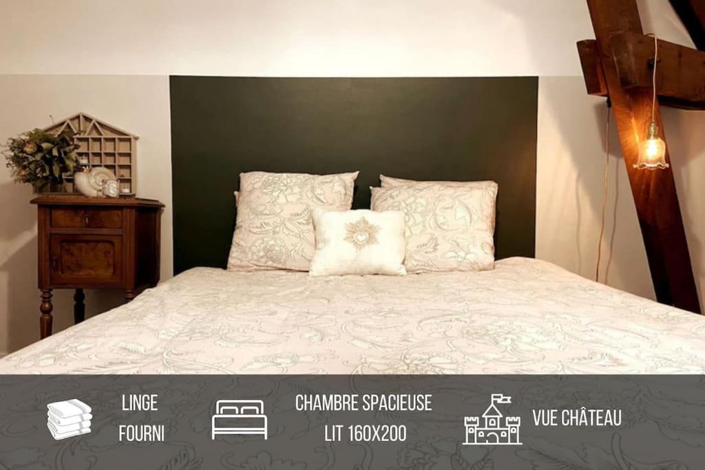 Grand Appartement Place Saint-Pierre, Proche Chateau De Saumur Et Bord De Loire" Zewnętrze zdjęcie